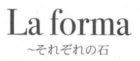 la forma.jpg